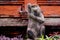 A monkey statue in ubud temple bali