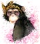 Monkey T-shirt graphics, monkey chimpanzee illustration with splash watercolor textured background.