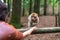 monkey taking food from human hand woman feeding monkey forest germany