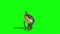 Monkey Turn Green Screen 3D Rendering Animation