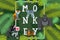 Monkey typographic poster, vector illustration. Gorilla, lemur, ice monkey and mandrill cartoon characters. Zoo apes and