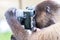 Monkey Using a Camera