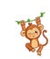 The monkey winks. The animal is hanging on the liana