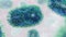 Monkeypox viruses, microscopic pathogen closeup, infectious zoonotic disease 3d science illustration