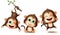 Monkeys animal characters vector set. Monkey kids animals little character in happy smiling facial expression.