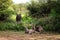 Monkeys fooling around in the wild while a deer watches them from behind the bushes