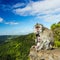 Monkeys at the Gorges viewpoint. Mauritius.