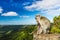 Monkeys at the Gorges viewpoint. Mauritius.