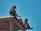 Monkeys sitting on a wooden rooftop