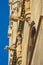 Monks and gargoyles, detail from the exterior of saint Stephen\'s catedral at downtown of Vienna