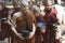 Monks Going for Lunch at Kalaywa Tawya Monastery in Yangon.