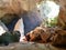 Monks illuminit by sun beam in saddan cave, Hpa-an Myanmar