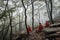 monks meditating in misty forest, with tree tops visible