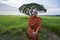 Monks are taking alms in the morning in the rice fields