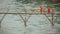 Monks walking bamboo bridge