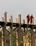 Monks walking on U Bein Bridge in Myanmar