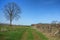 Monmouth Battlefield State Park in New Jersey