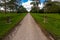 Monnington walk track within avenue of trees.