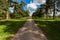 Monnington walk track within avenue of trees.