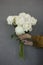 Mono beautiful bouquet of lush white peonies in woman`s hands on