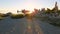 Mono Lake magenta sunrise