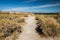 Mono Lake shore path, fall colors, California