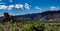 Mono Lake, South Tufa, Owens Valley, California