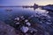 Mono Lake at sunrise.