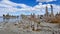 Mono Lake Tufa Formations Create Alien World