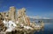 Mono Lake and Tufa with Snow