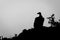 Mono Ruppell vulture perches silhouetted on mound