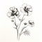 Monochromatic Chiaroscuro: Detailed Drawings Of Flowers On White Background