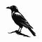 Monochromatic Crow Drawing: Bold Character Designs In Graphic Design Style