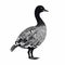 Monochromatic Goose Illustration: A Bold Stencil Design Inspired By Alma Woodsey Thomas And Dan Hillier