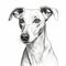 Monochromatic Graphic Design: Small Greyhound Portrait