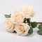 Monochromatic Harmony: Three Bunches Of Cream Roses On White Background