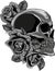 monochromatic human skulls with roses on white background