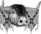 monochromatic illustration of Confederate flag with buffalo head
