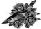 monochromatic illustration of Military aircraft with roses flower