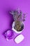 Monochromatic lavender spa concept