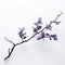 Monochromatic Minimalism: Purple Flowers On Branch Against White Background