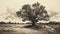 Monochromatic Realism: Captivating Sand Painting Of An Old Oak Tree