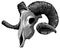 monochromatic Realistic red goat skull. vector Illustration for designer on a white background.