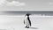 Monochromatic Serenity: Penguin\\\'s Contrast on the Warm Beach Canvas\\\