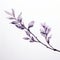 Monochromatic Serenity: Purple Leaves On White Background