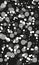 Monochromatic transparent white and gray bubbles in black space.