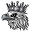 Monochromatic The Vector logo queen of eagles. Cute crown print style eagle of background.