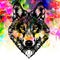 Monochrome artistic wolf muzzle on  background