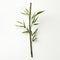 Monochrome Bamboo Stalk On White Background