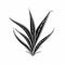 Monochrome Black Line Aloe Vera Logo On White Background